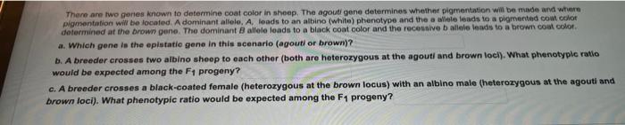 There Are Two Genes Known To Determine Coat Color In Sheep The Agouti Gene Determines Whether Pigmentation Will Be Made 1