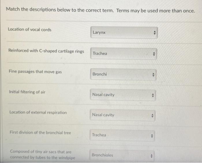 Match The Descriptions Below To The Correct Term Terms May Be Used More Than Once Location Of Vocal Cords Reinforced W 1
