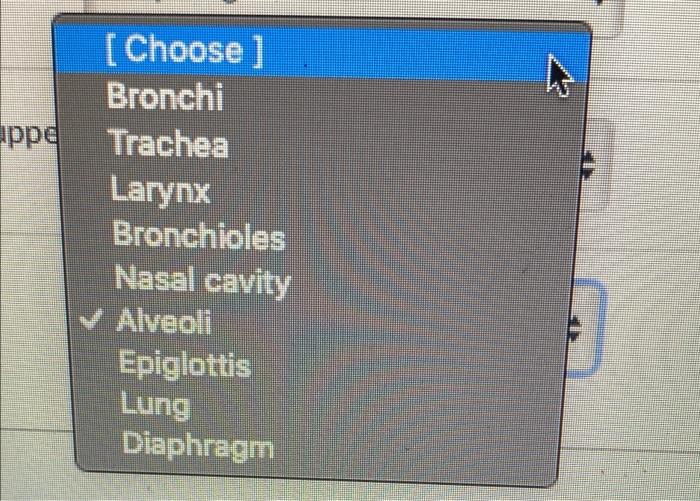 Match The Descriptions Below To The Correct Term Terms May Be Used More Than Once Location Of Vocal Cords Reinforced W 3