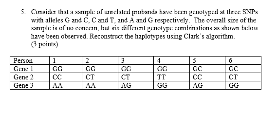 5 Consider That A Sample Of Unrelated Probands Have Been Genotyped At Three Snps With Alleles G And C C And T And A A 1