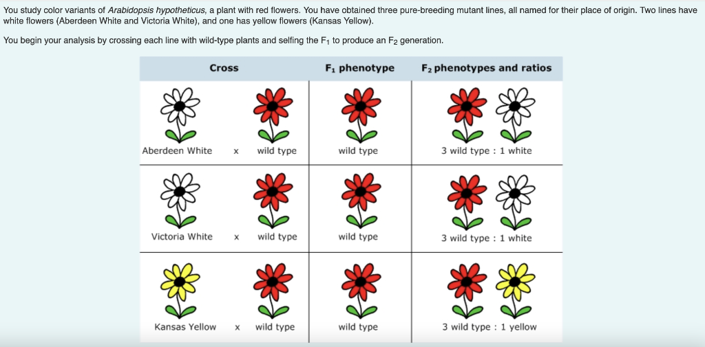 Please If Needed Circle The Right Correct Answers Thank You 1