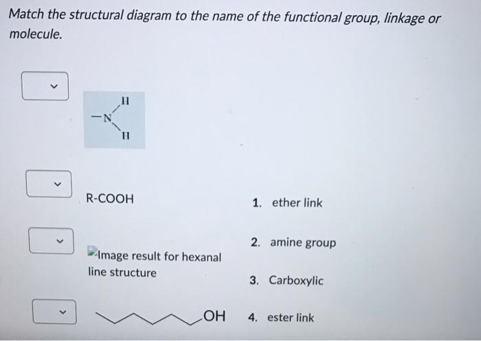 Match The Structural Diagram To The Name Of The Functional Group Linkage Or Molecule N 11 Hi R Cooh Image Result Fo 1