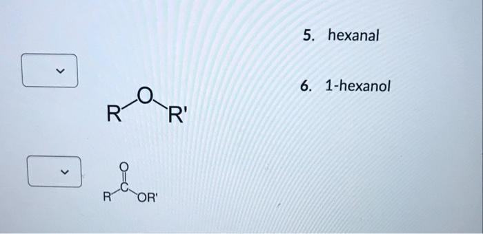Match The Structural Diagram To The Name Of The Functional Group Linkage Or Molecule N 11 Hi R Cooh Image Result Fo 2