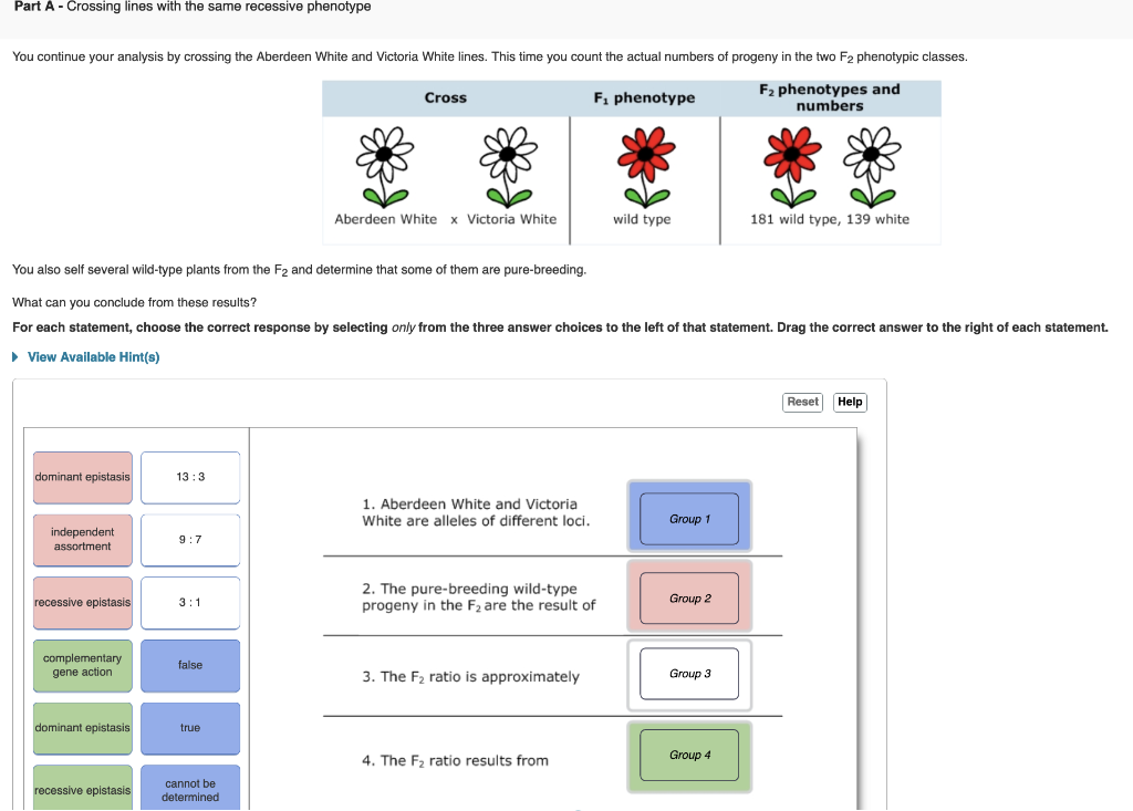 From These Crosses You Conclude That The Mutations In All Three Lines Are Recessive To The Wild Type Part A Part B Pa 2