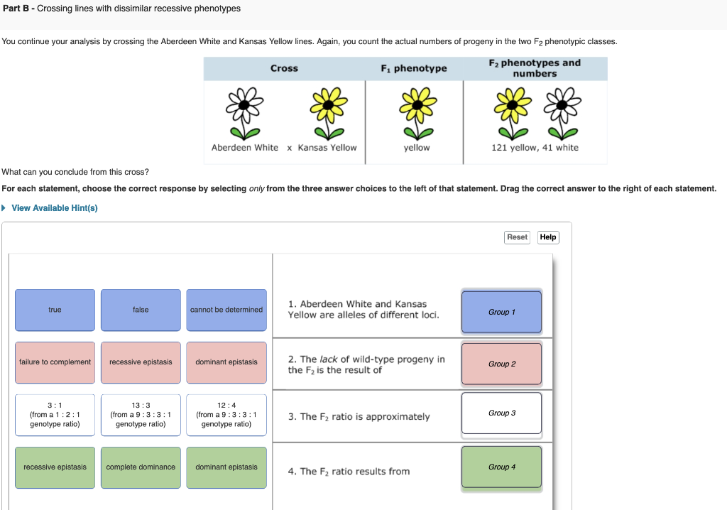 From These Crosses You Conclude That The Mutations In All Three Lines Are Recessive To The Wild Type Part A Part B Pa 3