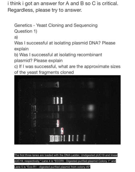I Think I Got An Answer For A And B So C Is Critical Regardless Please Try To Answer Genetics Yeast Cloning And Seq 1