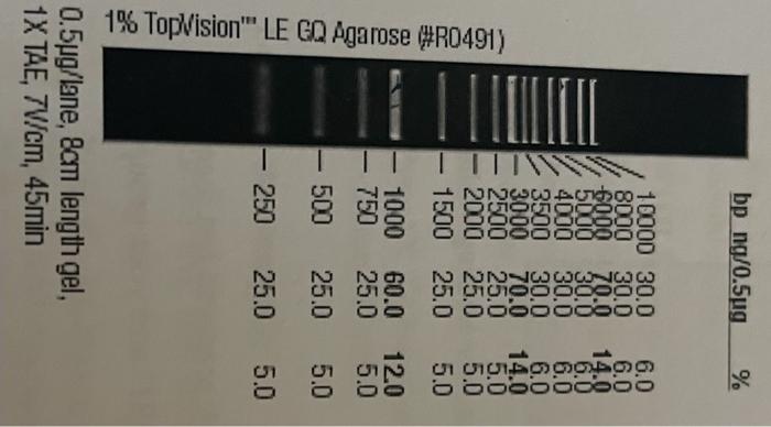 I Think I Got An Answer For A And B So C Is Critical Regardless Please Try To Answer Genetics Yeast Cloning And Seq 5