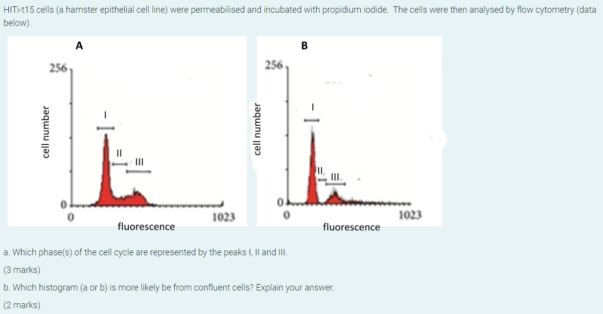 Hiti T15 Cells A Hamster Epithelial Cell Line Were Permeabilised And Incubated With Propidium Iodide The Cells Were T 1