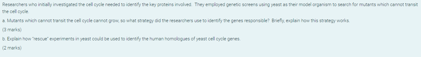 Researchers Who Initially Investigated The Cell Cycle Needed To Identify The Key Proteins Involved They Employed Geneti 1