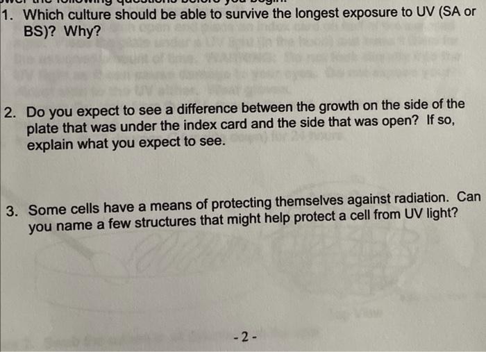 1 Which Culture Should Be Able To Survive The Longest Exposure To Uv Sa Or Bs Why 2 Do You Expect To See A Differe 1