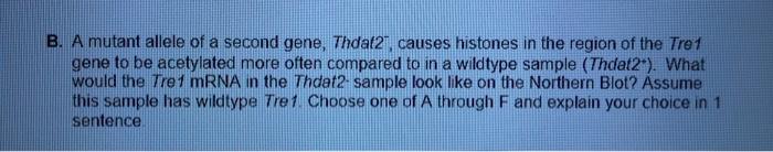 7 6 Points A Diagram Of A Gene Called Tre1 Is Shown Below Normally Exons 1 2 And 3 Are Present In The Mature Mrna 2