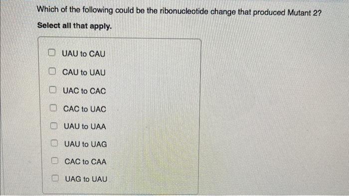 Which Of The Following Could Be The Ribonucleotide Change That Produced Mutant 2 Select All That Apply Ouau To Cau Cau 1