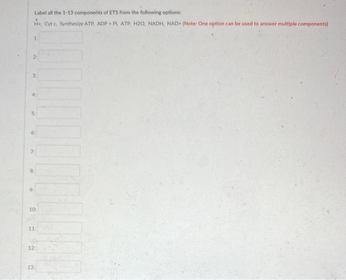 Label All The 1 13 Components Of Ets From The Following Options H Cyt C Synthesize Atp Adp Pi Atp H2o Nadh Na 1