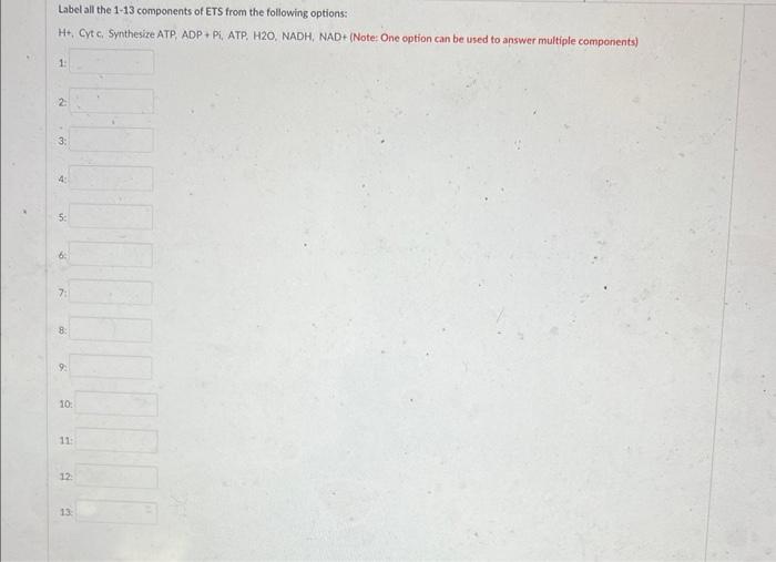 Label All The 1 13 Components Of Ets From The Following Options H Cyt C Synthesize Atp Adp Pi Atp H2o Nadh Na 3