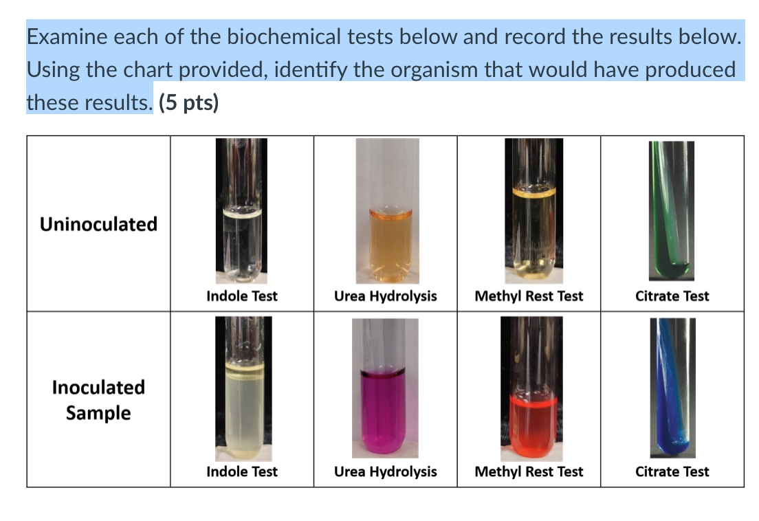 Examine Each Of The Biochemical Tests Below And Record The Results Below Using The Chart Provided Identify The Organis 1