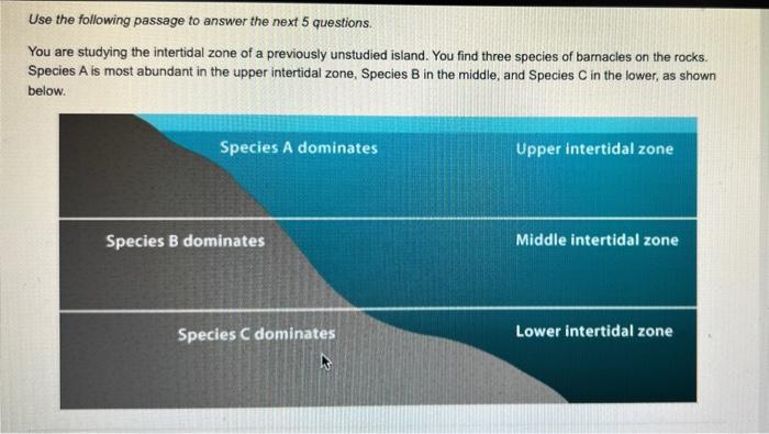 Use The Following Passage To Answer The Next 5 Questions You Are Studying The Intertidal Zone Of A Previously Unstudied 1