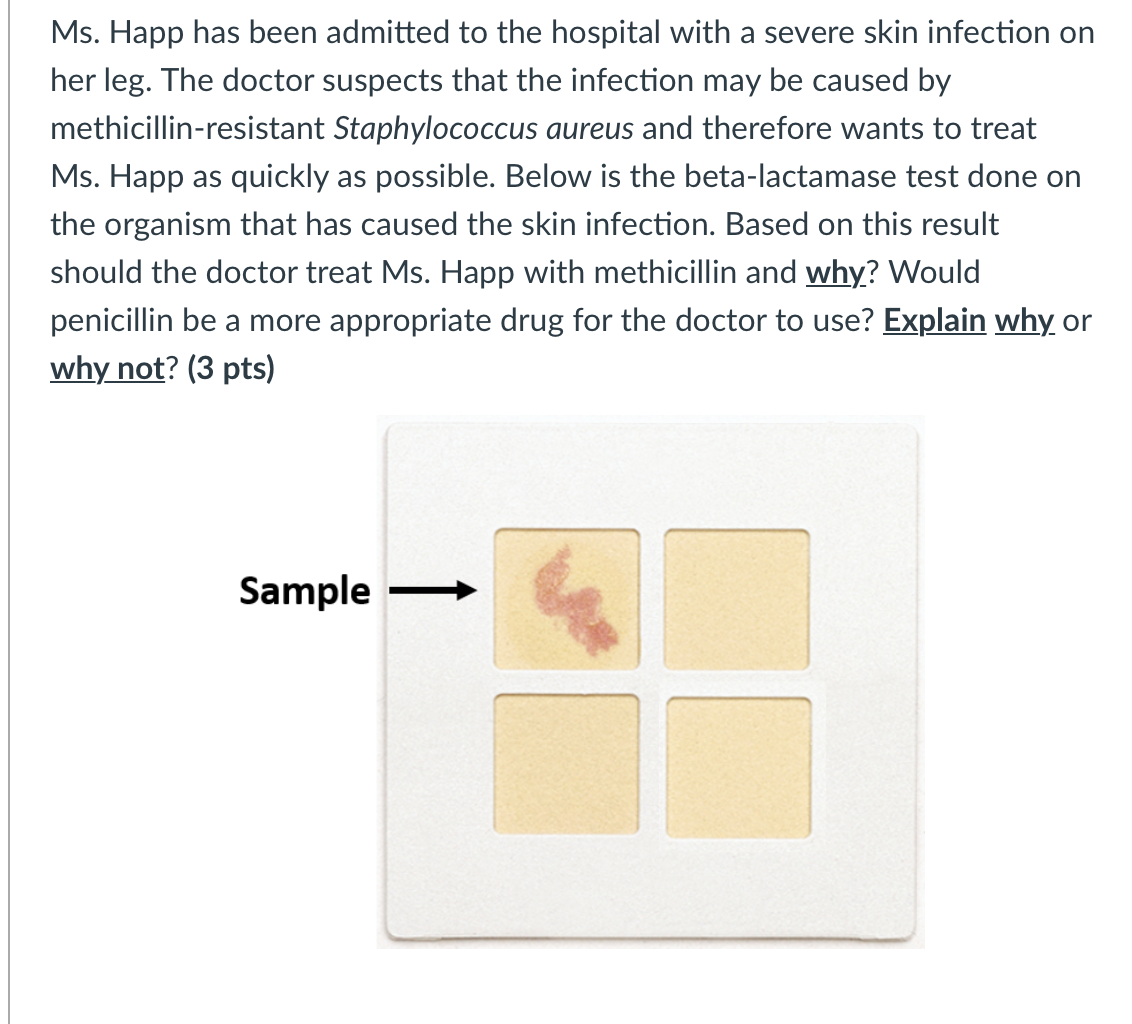 Ms Happ Has Been Admitted To The Hospital With A Severe Skin Infection On Her Leg The Doctor Suspects That The Infecti 1