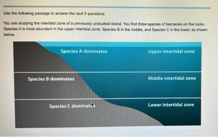 Use The Following Passage To Answer The Next 5 Questions You Are Studying The Intertidal Zone Of A Previously Unstudied 1