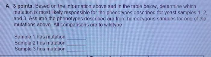 Sample 2 Mrna Shorter In Length Compared To Wildtype Decreased Number Of Transcripts Compared To Wildtype Slightly Shor 3