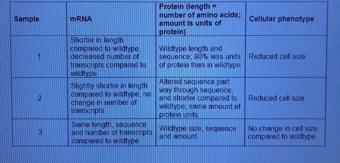 Sample 2 3 Mrna Shorter In Length Compared To Wildtype Decreased Number Of Transcripts Compared To Wildtype Slightly Sh 1