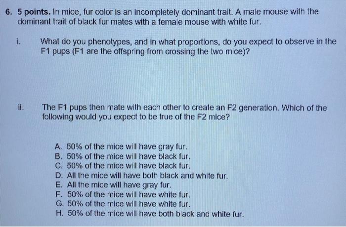 6 5 Points In Mice Fur Color Is An Incompletely Dominant Trait A Male Mouse With The Dominant Trait Of Black Fur Mat 1