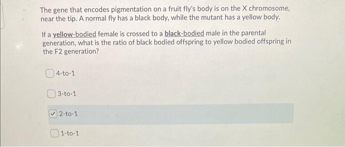 The Gene That Encodes Pigmentation On A Fruit Fly S Body Is On The X Chromosome Near The Tip A Normal Fly Has A Black 1