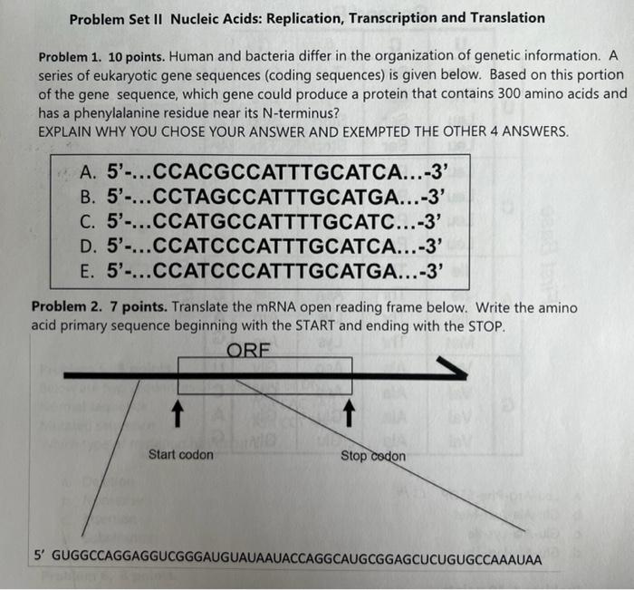 Problem Set Ii Nucleic Acids Replication Transcription And Translation Problem 1 10 Points Human And Bacteria Differ 1