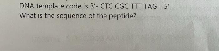 Dna Template Code Is 3 Ctc Cgc Ttt Tag 5 What Is The Sequence Of The Peptide Codons Found In Messenger Rna Second 1