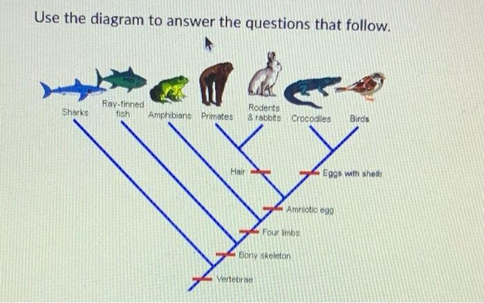 Use The Dichotomous Key Provided To Classify The Two Types Of Leaves Shown La 1b 2a 2b 3a 3b 4a 4b Sa 5b 6a 6b 7a 7b Ne 3