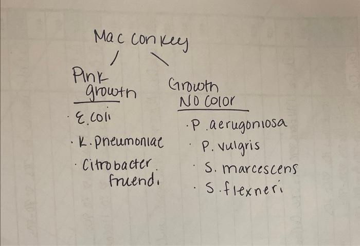 Mac Conkey Pink Growth E 2011 K Pneumoniae Citrobacter Friend Growth No Color P Aerugoniosa P Vulgris S Marcescen 1