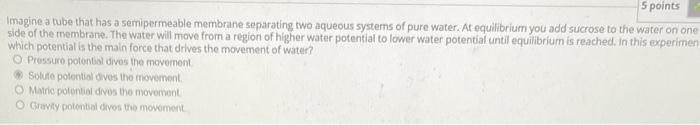 5 Points Imagine A Tube That Has A Semipermeable Membrane Separating Two Aqueous Systems Of Pure Water At Equilibrium Y 1