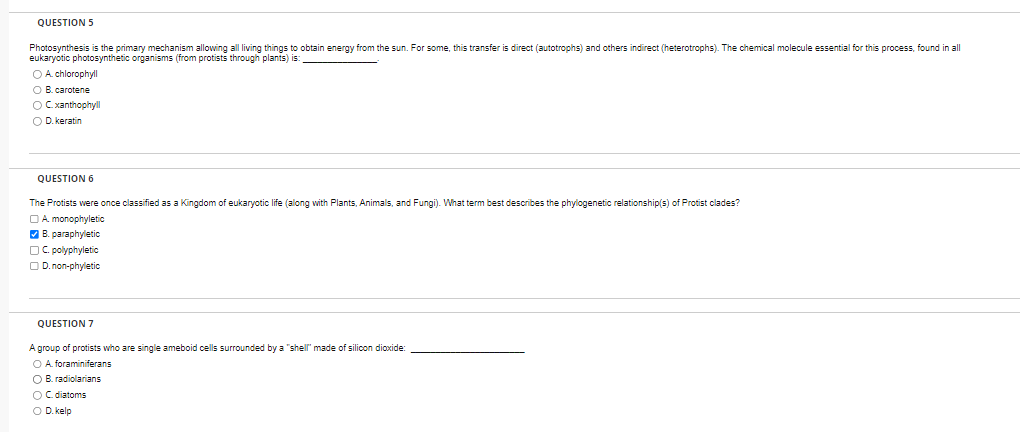 Question 5 Photosynthesis Is The Primary Mechanism Allowing All Living Things To Obtain Energy From The Sun For Some T 1