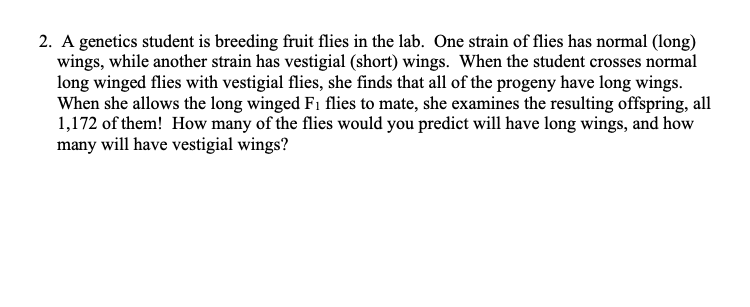 2 A Genetics Student Is Breeding Fruit Flies In The Lab One Strain Of Flies Has Normal Long Wings While Another Str 1