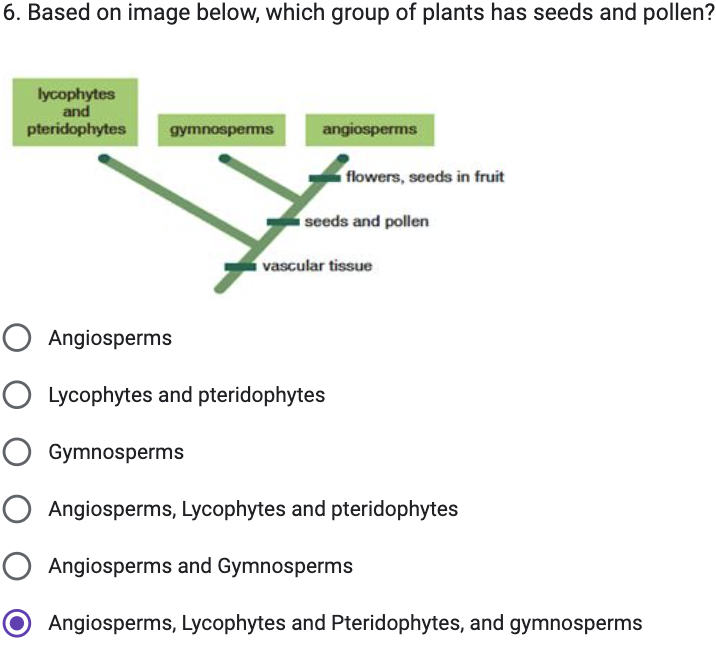 6 Based On Image Below Which Group Of Plants Has Seeds And Pollen Lycophytes And Pteridophytes Gymnosperms Angiosperm 1