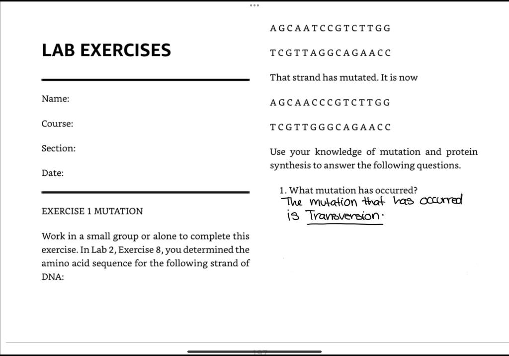 Lab 4 Exercise 1 2 Will This Mutation Have A Real Effect Why Or Why Not Hint For Question 2 Refer To The Amino Aci 1