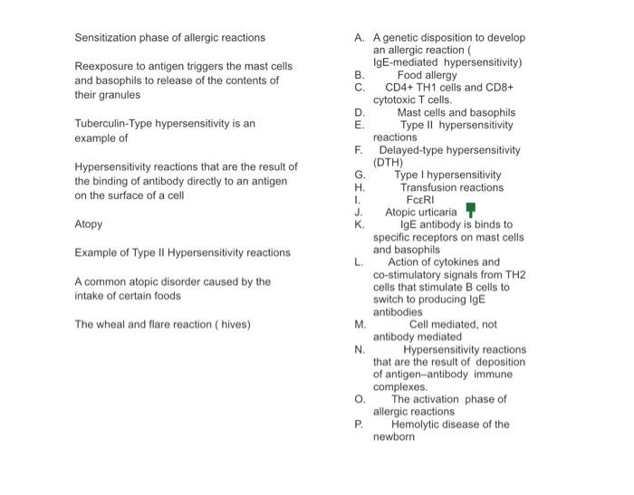 Sensitization Phase Of Allergic Reactions Reexposure To Antigen Triggers The Mast Cells And Basophils To Release Of The 1