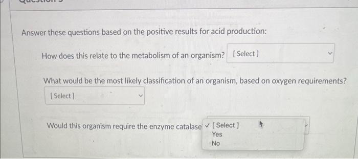 D Question 5 Answer These Questions Based On The Positive Results For Acid Production How Does This Relate To The Metab 3