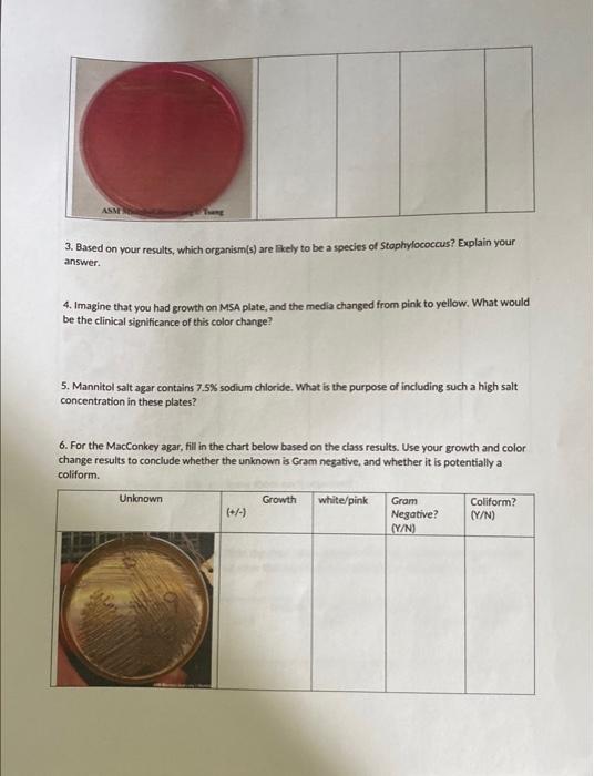 Name Bio2073 Microbiology Lab Lab Report Selective And Differential Media Mannitol Salt Agar Macconkey Agar Emb Aga 2