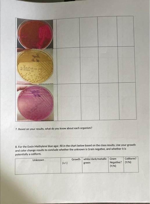 Name Bio2073 Microbiology Lab Lab Report Selective And Differential Media Mannitol Salt Agar Macconkey Agar Emb Aga 3