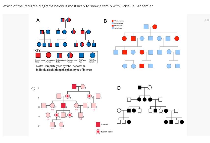 Which Of The Pedigree Diagrams Below Is Most Likely To Show A Family With Sickle Cell Anaemia A Key Homozygous Homozygo 1