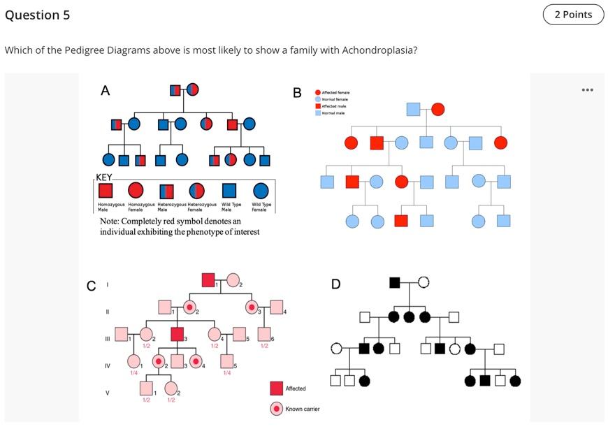 Question 5 Which Of The Pedigree Diagrams Above Is Most Likely To Show A Family With Achondroplasia A Key Homozygous Ho 1
