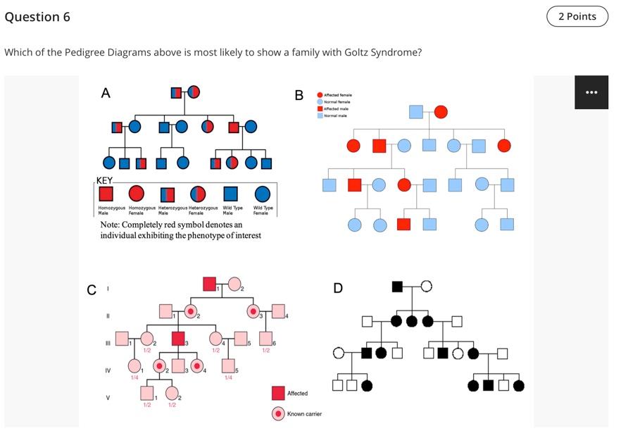 Question 6 Which Of The Pedigree Diagrams Above Is Most Likely To Show A Family With Goltz Syndrome A Key Homozygous Ho 1