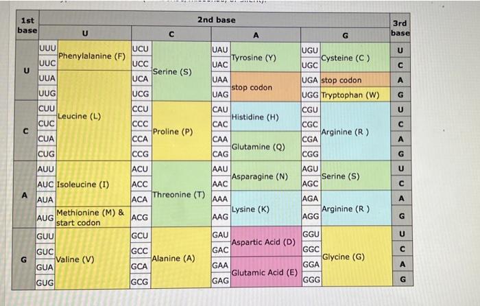 Please Use The Single Letter Abbreviation For The Amino Acids In This Assignment Starting With 2 Your Answer Should Spe 2