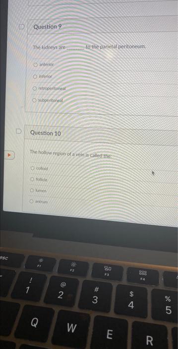 Sc Question 91 The Kidneys Are Anterior O Inferior O Retroperitoneal Osubperitoneal Question 10 The Hollow Region Of A V 1