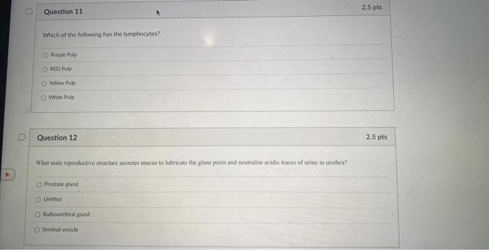 Sc Question 91 The Kidneys Are Anterior O Inferior O Retroperitoneal Osubperitoneal Question 10 The Hollow Region Of A V 2