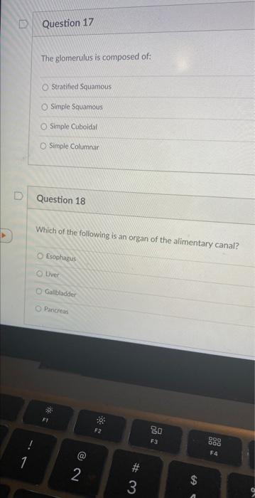 D 1 Question 17 The Glomerulus Is Composed Of O Stratified Squamous O Simple Squamous O Simple Cuboidal O Simple Column 1
