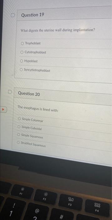 D 1 Question 17 The Glomerulus Is Composed Of O Stratified Squamous O Simple Squamous O Simple Cuboidal O Simple Column 2