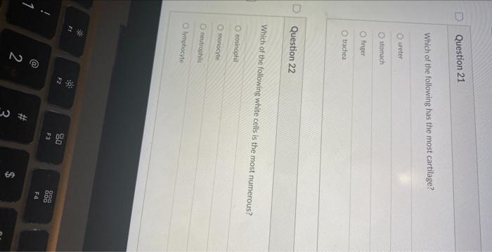 1 Question 21 Which Of The Following Has The Most Cartilage Oureter O Stomach O Finger D Question 22 O Trachea F1 Whi 1