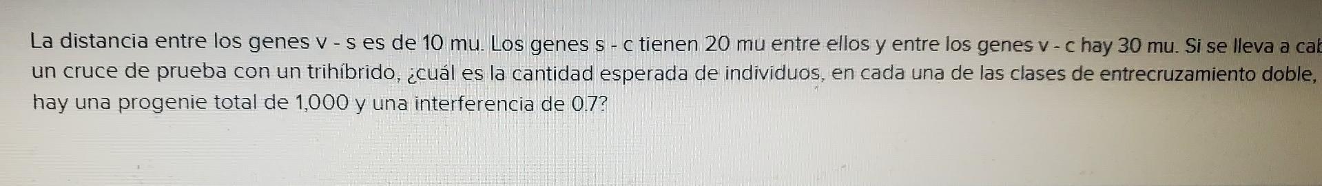 La Distancia Entre Los Genes V S Es De 10 Mu Los Genes S C Tienen 20 Mu Entre Ellos Y Entre Los Genes V C Hay 30 M 1