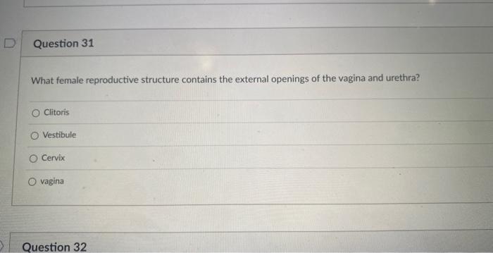 D Question 29 A Which Of The Following Types Of Cells Have Flagella O Pridal Opseudostrated O Spermaids Transitional Qu 6